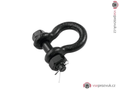 Safetex Shackle 10 mm bl with Bolt, Mother, Splint