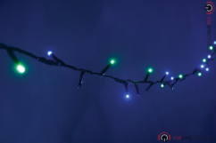 Lyyt 200TS-MC 200 LED String Lights with Timer Control MC