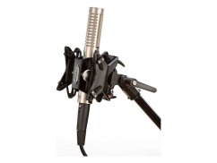 Royer Labs R-121L, live páskový mikrofon