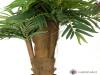 Areca palma, 140 cm