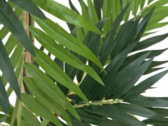 Europalms palma Parlor, umělá rostlina, 150cm