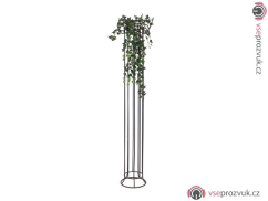 Divoký břečťan trs velký, 100 cm