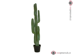 Mexický kaktus zelený, 123 cm