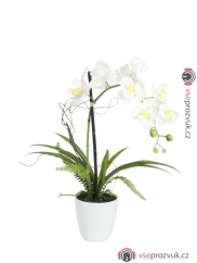Orchidej bílá v dekoračním květináči, 8 květů, 62 cm