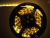 LED páska SMD3528, teplá bílá, 12V, 5m, 120 LED/m