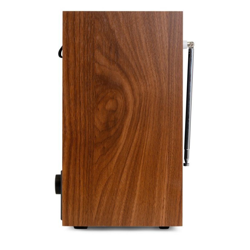 Audizio Canzo Internet radio s DAB+/FM, walnut