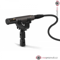 Sennheiser MKH 800 TWIN