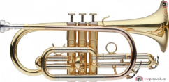 Levante LV-CR5205, B kornet perinetový