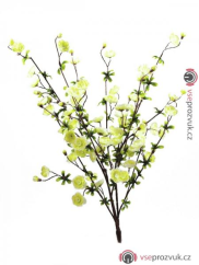 Třešen větvička krémová, 60 cm