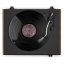Audizio RP335 Vintage gramofon s reproduktory, wood