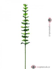 Eukalyptus zelený - křišťálový, 81 cm, 12 ks