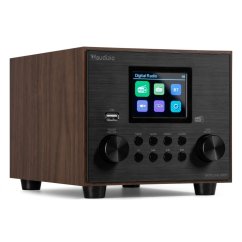 Audizio Vieste DAB+ Radio with subwoofer wood