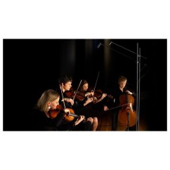 Sennheiser MKH 8020 - Všesměrový kondenzátorový mikrofon (1 kus)