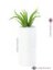 Aloe vera, 63 cm