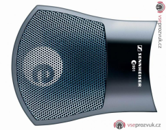 Sennheiser  E901