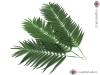Kokos - palmový list střední, 110 cm, 12 ks