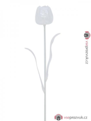 Tulipán čirý – křišťálový, 61 cm, 12 ks