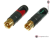 NEUTRIK NF2CB2