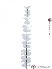 Eukalyptus čirý - křišťálový, 81 cm, 12 ks