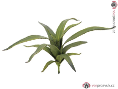 Aloe vera zelená, 66 cm
