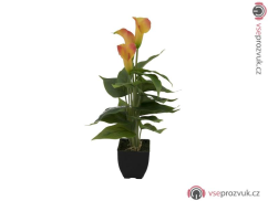 Mini kala, žluto-oranžová, 43 cm