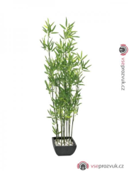 Bambus v černém květináči, 120 cm