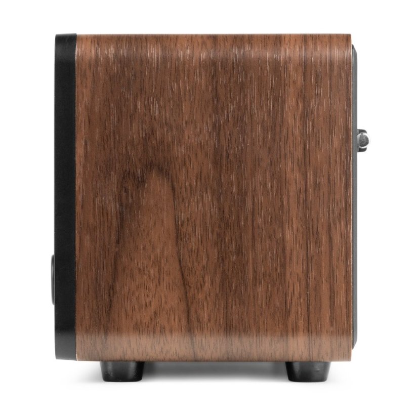 Audizio Genua DAB+ Stereo radio wood