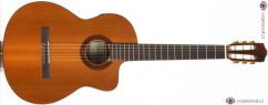 CORDOBA C5-CE, Rosewood Fingerboard - Natural