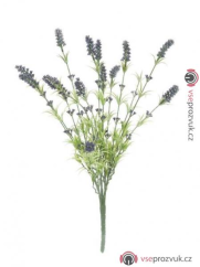 Lavendule keřík 61cm
