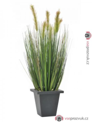 Vodní tráva v květináči, 60 cm
