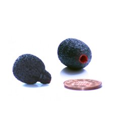 Rycote Special MiniWindjammer NEOPREN