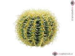 Kulatý zlatý kaktus, 27 cm