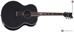 SCHECTER Synyster Gates J Black