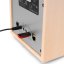 Audizio Canzo Internet radio s DAB+/FM, light wood