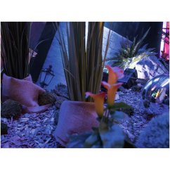 Mini kala, žluto-oranžová, 43 cm