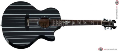 SCHECTER Synyster Gates AC-GA SC Black with Silver Pin Stripes