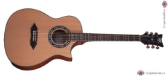 SCHECTER SGR SA-1 AC Gloss Natural