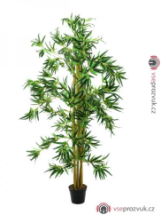 Bambus multi kmen 210 cm