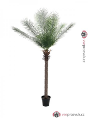Phoenix palma deluxe, 220 cm