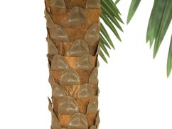 Europalms palma Phoenix deluxe, umělá rostlina, 300cm