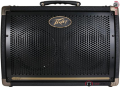 PEAVEY Ecoustic E208