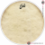 EVANS ’56 Calftone 20” Bass