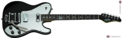 SCHECTER Pete Dee Signature Black