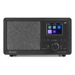 Audizio Padova DAB+ Radio Wood