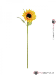Slunečnice, 70 cm