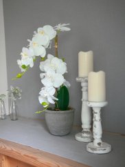 Orchidej s bílými květy, 80 cm