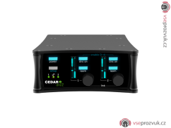 CEDAR Audio DNS 2