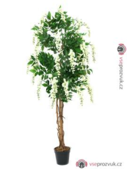 Wistaria, bílá, 150 cm