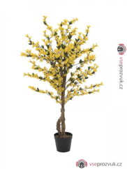 Forsythia se 4 kmeny, žlutá, 120 cm