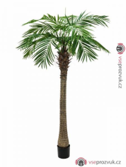 Phoenix palma Luxor, 210 cm